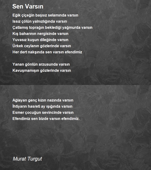 Murat Turgut