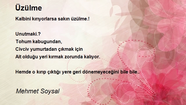 Mehmet Soysal