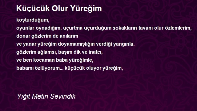 Yiğit Metin Sevindik