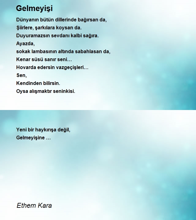 Ethem Kara