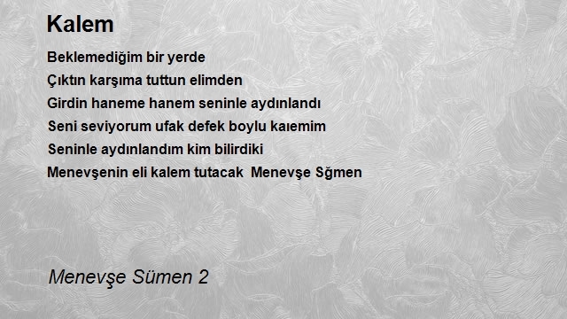 Menevşe Sümen 2