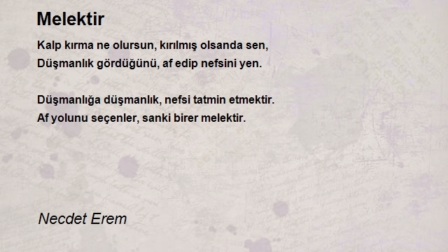 Necdet Erem