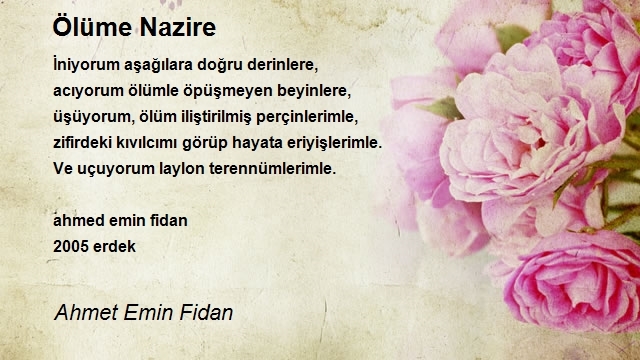 Ahmet Emin Fidan