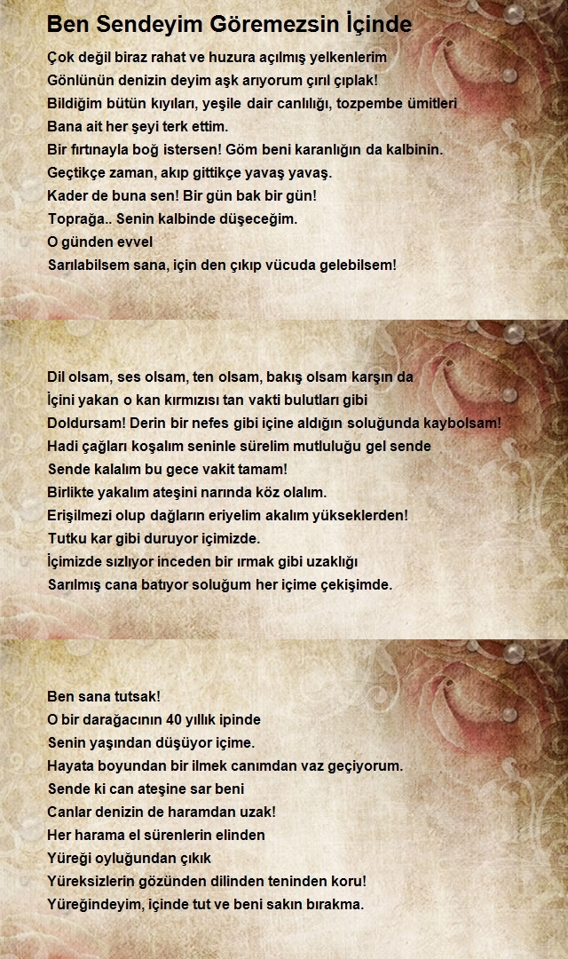 Altan İlhan Arslan