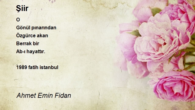 Ahmet Emin Fidan