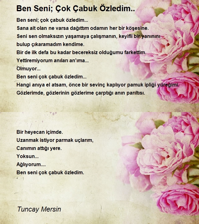 Tuncay Mersin