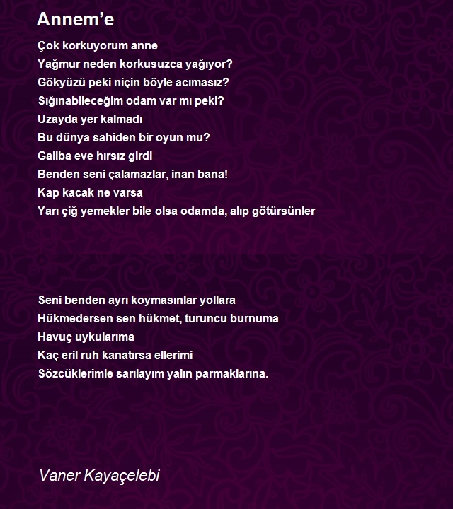 Vaner Kayaçelebi