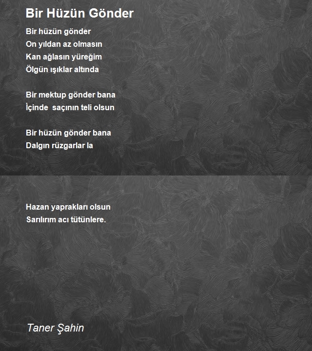 Taner Şahin