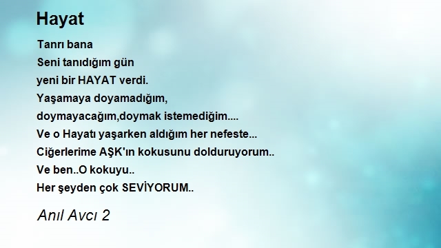 Anıl Avcı 2