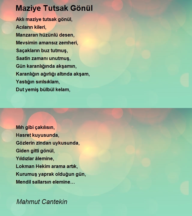 Mahmut Cantekin