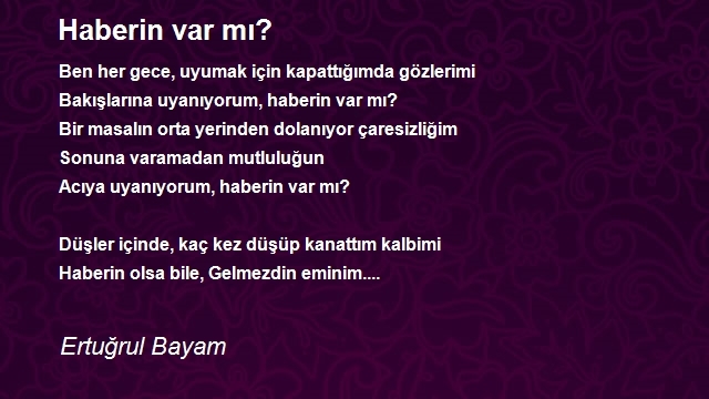 Ertuğrul Bayam