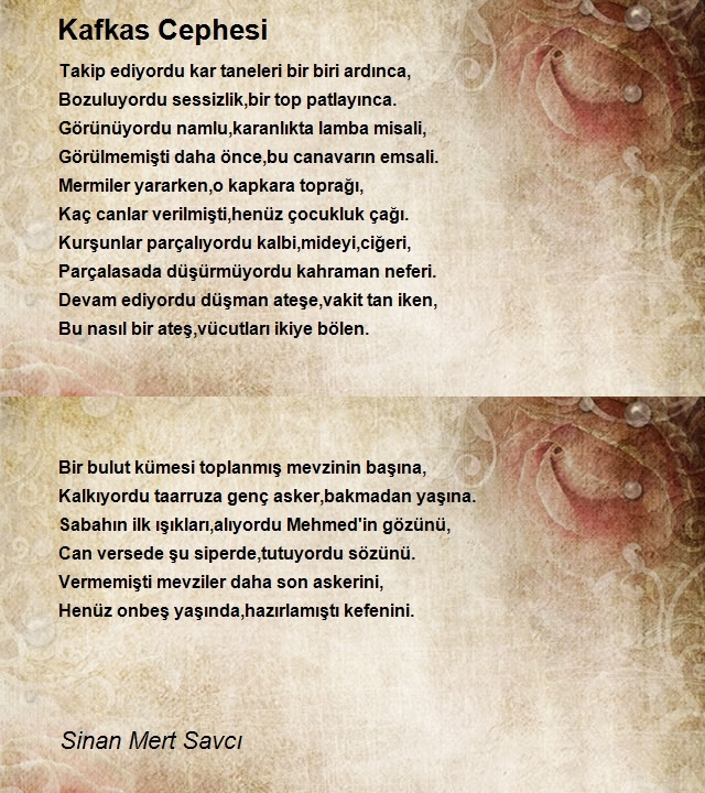 Sinan Mert Savcı