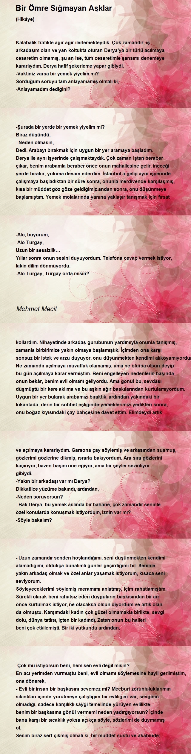 Mehmet Macit