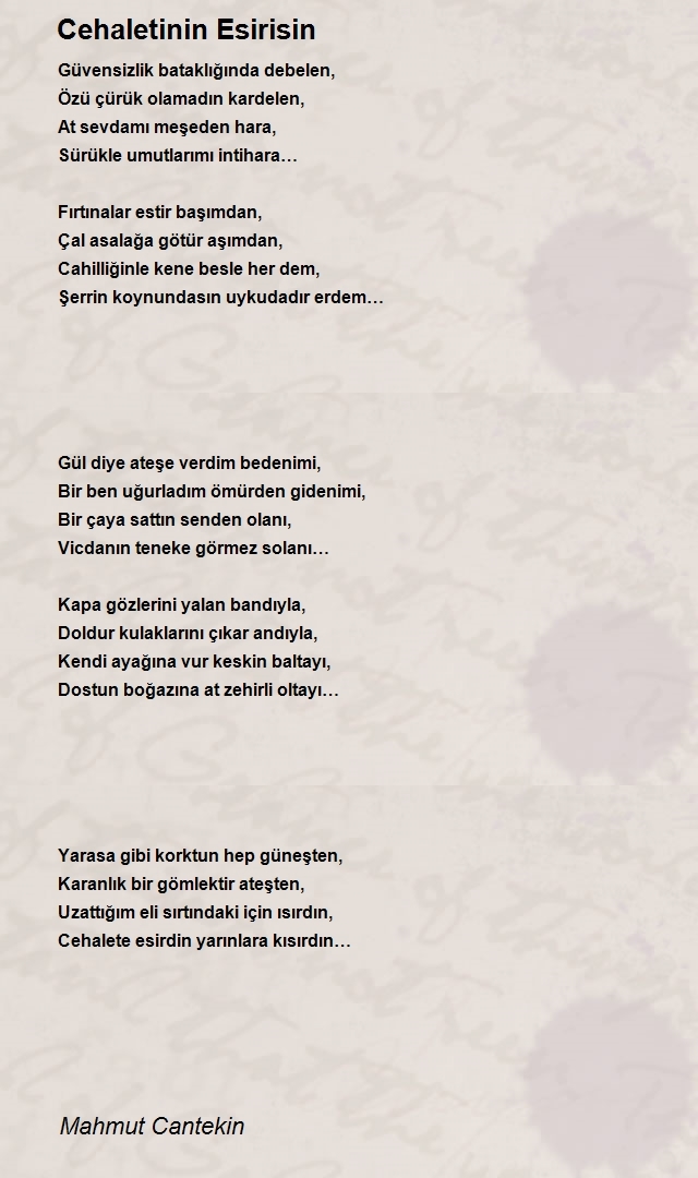 Mahmut Cantekin