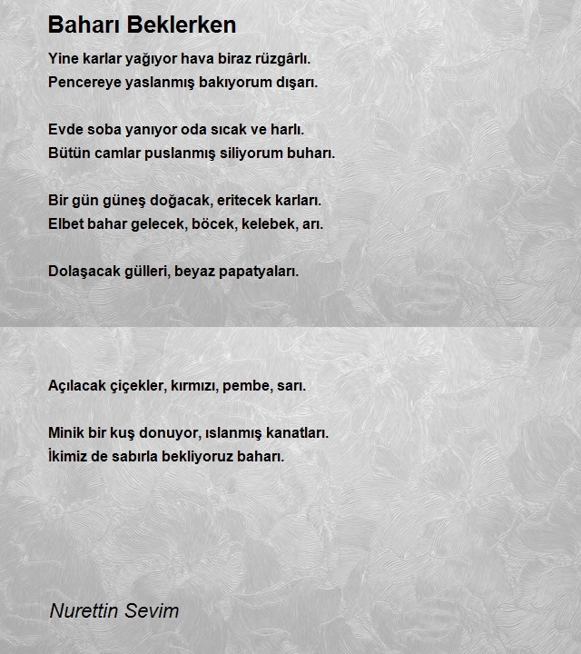 Nurettin Sevim