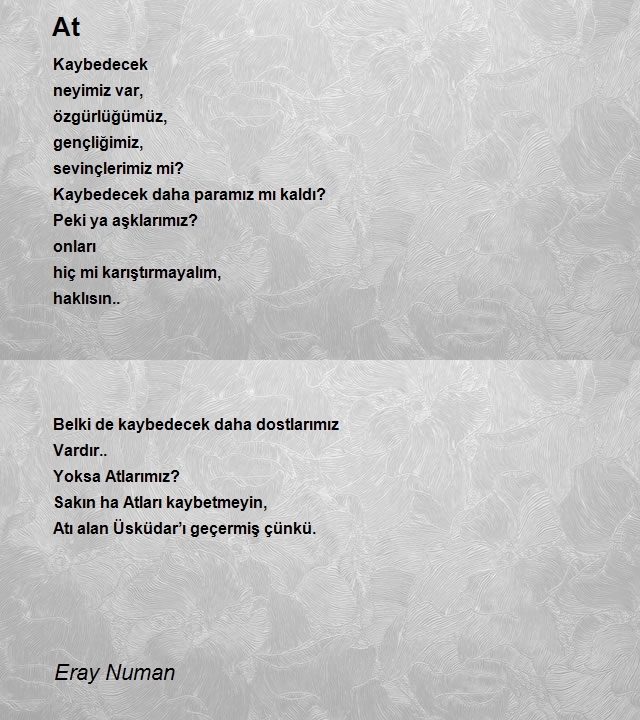 Eray Numan