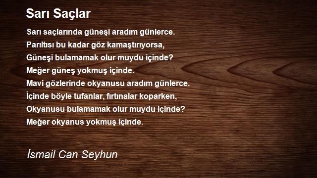 İsmail Can Seyhun