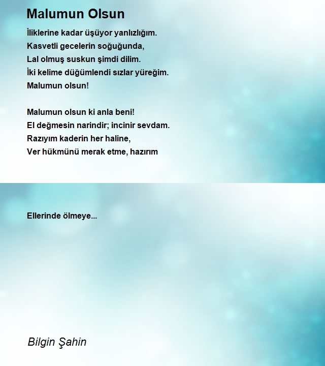 Bilgin Şahin