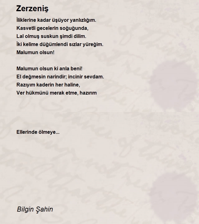 Bilgin Şahin