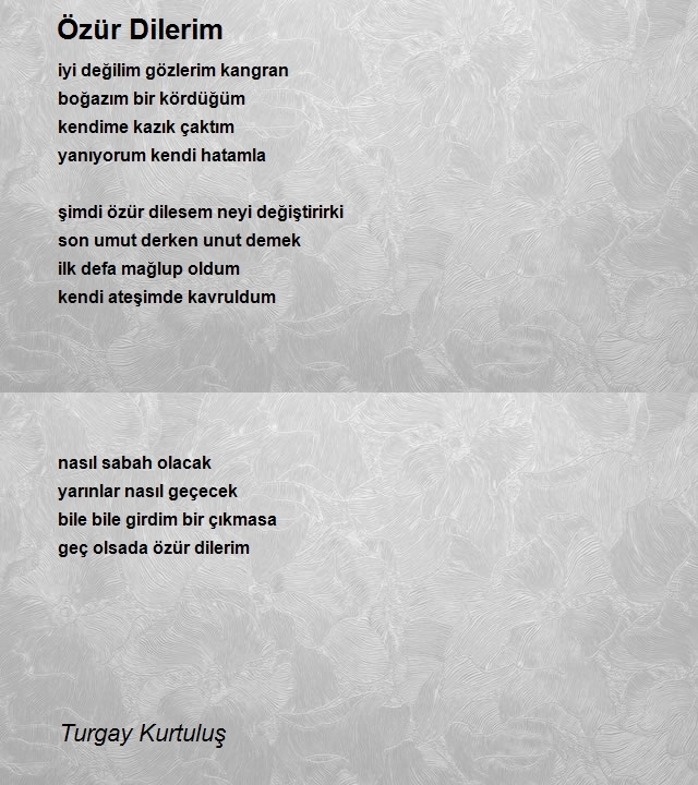 Turgay Kurtuluş