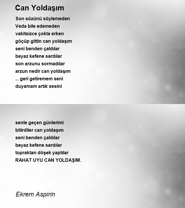 Ekrem Aspirin