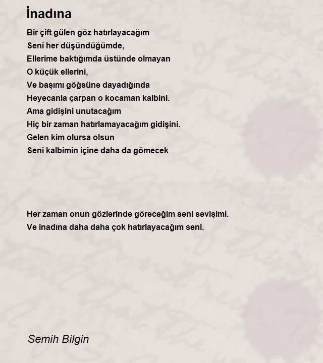 Semih Bilgin