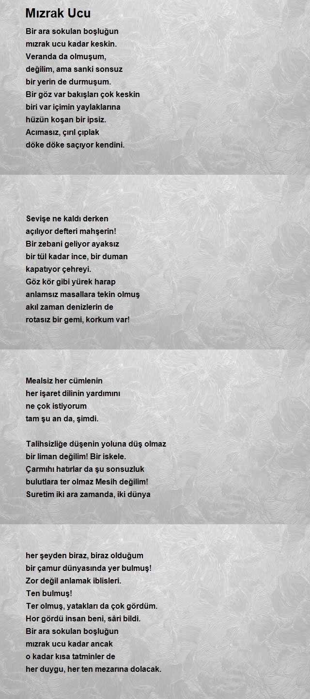 Altan İlhan Arslan