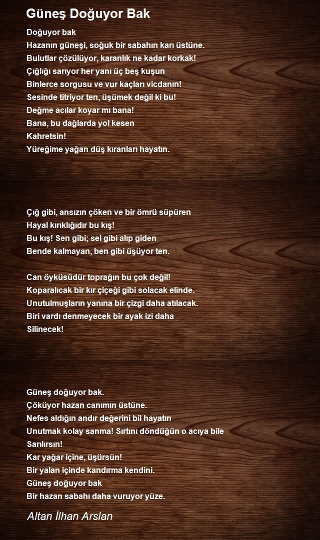 Altan İlhan Arslan