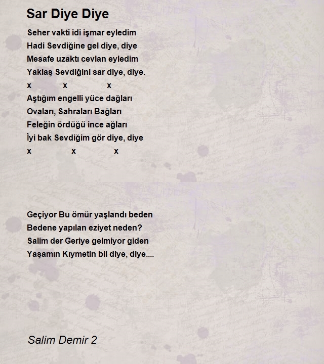 Salim Demir 2