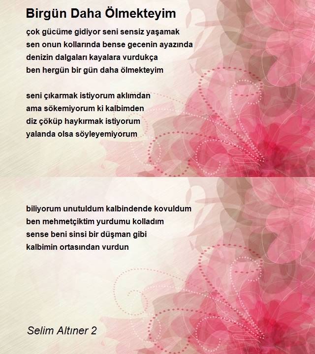 Selim Altıner 2