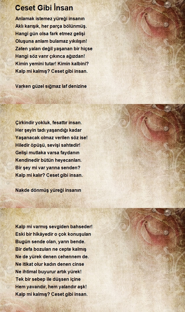 Altan İlhan Arslan