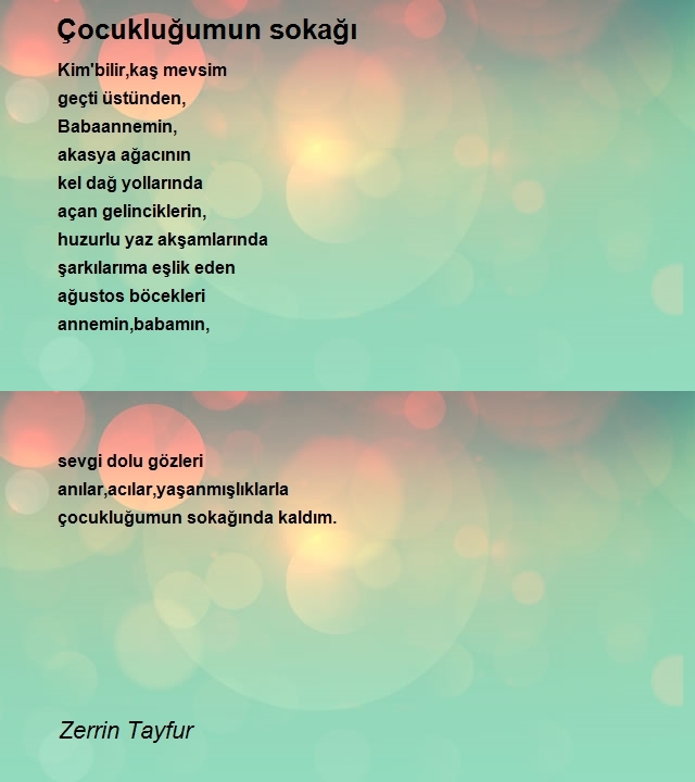 Zerrin Tayfur