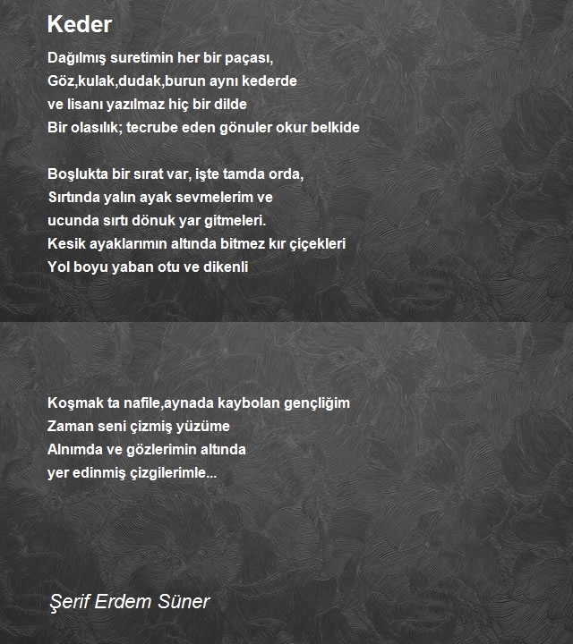 Şerif Erdem Süner