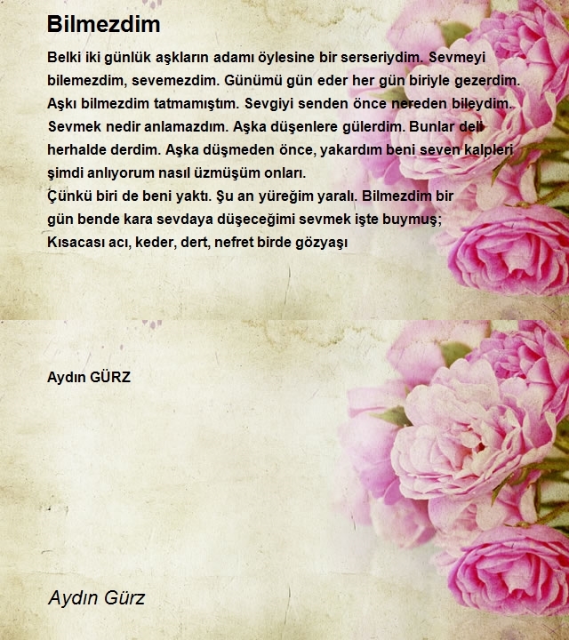 Aydın Gürz