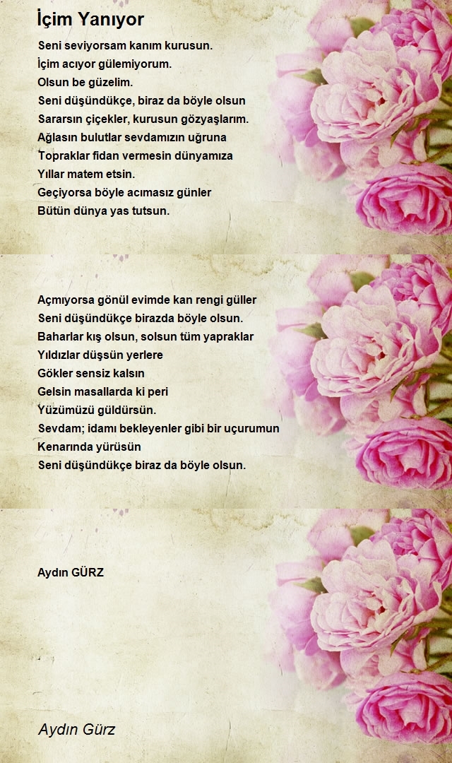 Aydın Gürz