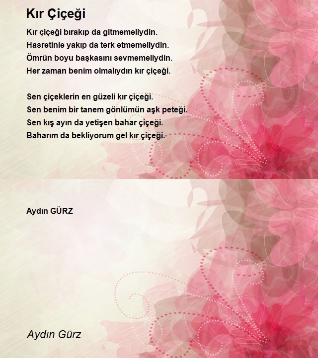 Aydın Gürz