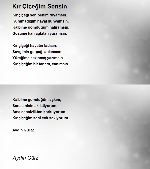 Aydın Gürz