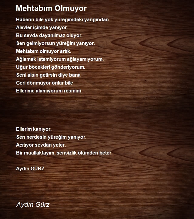 Aydın Gürz