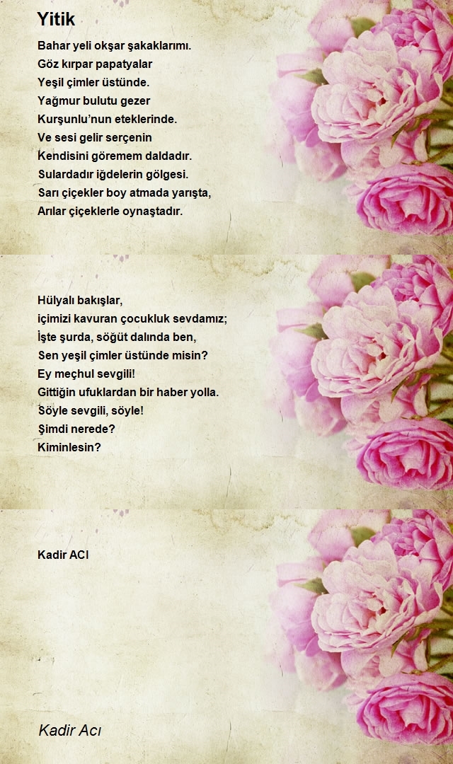 Kadir Acı