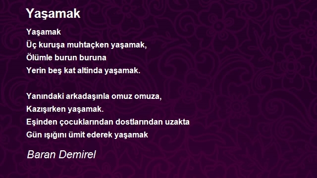 Baran Demirel