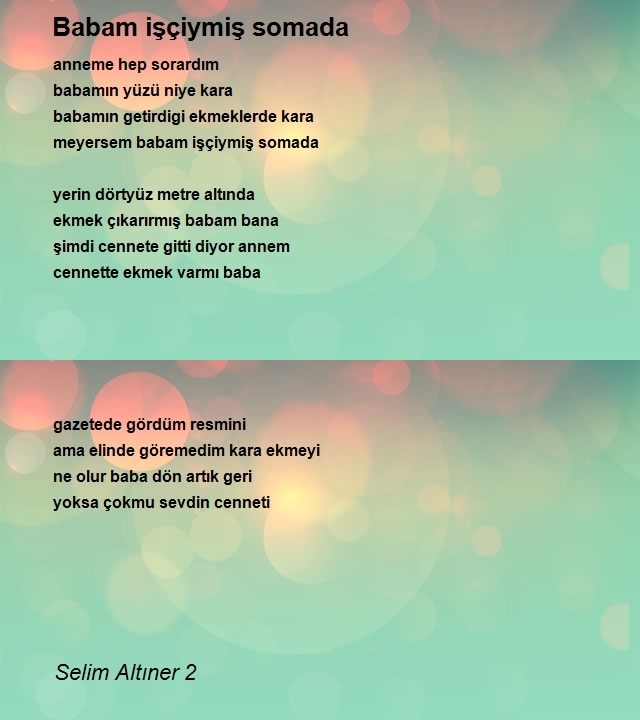 Selim Altıner 2