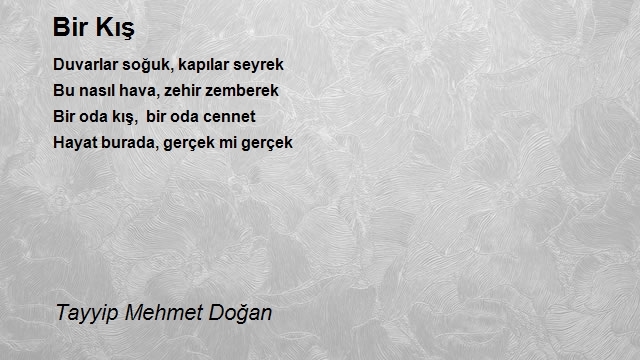 Tayyip Mehmet Doğan