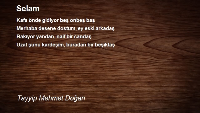 Tayyip Mehmet Doğan