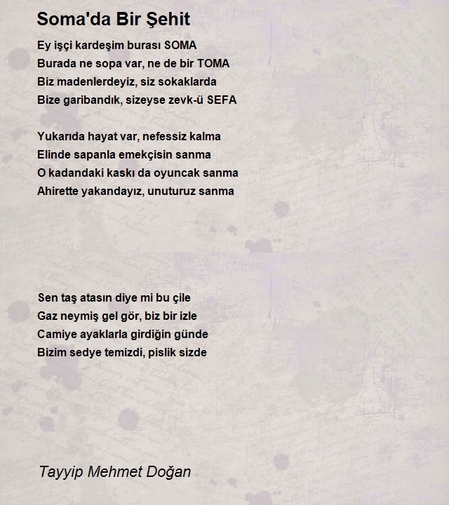 Tayyip Mehmet Doğan