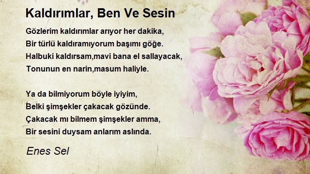 Enes Sel