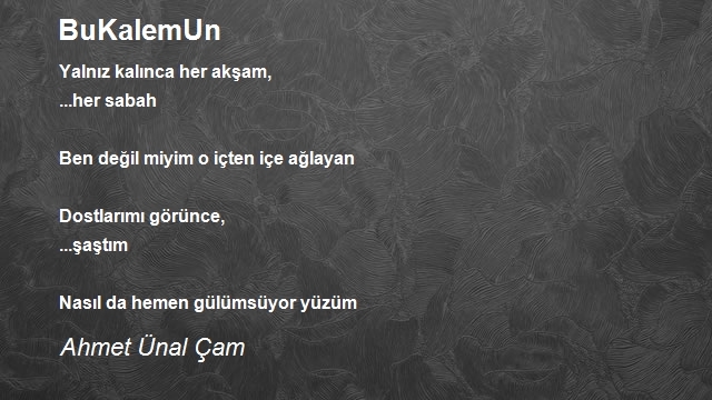 Ahmet Ünal Çam