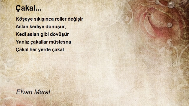 Elvan Meral