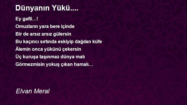 Elvan Meral