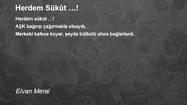 Elvan Meral