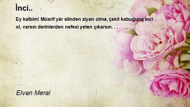 Elvan Meral